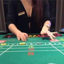 panda slot